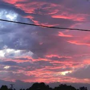 Meet your Posher, Lucy